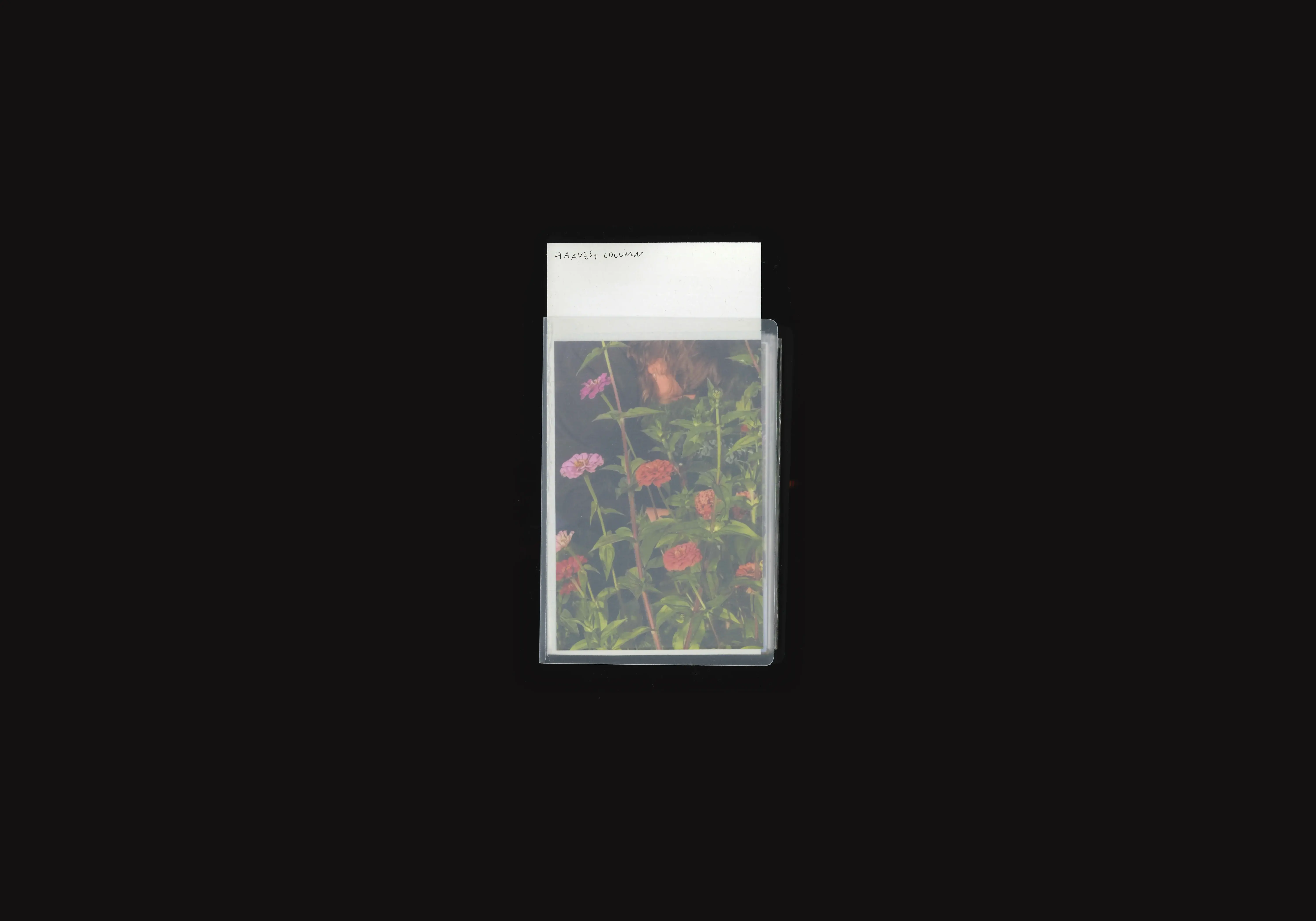Harvest Column